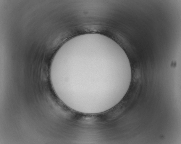 X0000113220414200910081346