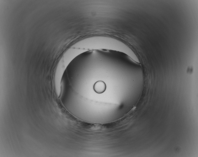 X0000113220415200910081346