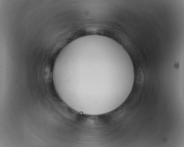 X0000113220420200910081346