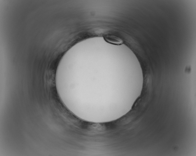 X0000113220421200910081346