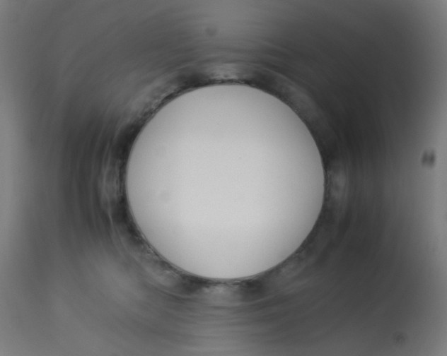 X0000113220422200910081346
