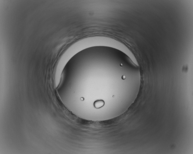 X0000113220423200910081346