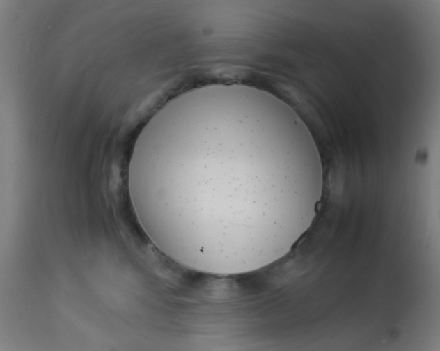 X0000113220424200910081346