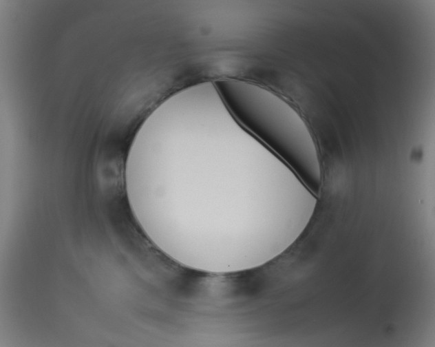 X0000113220425200910081346