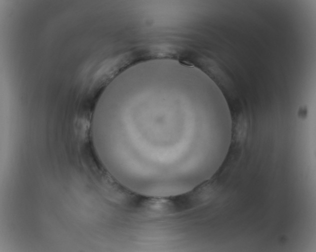 X0000113220427200910081346