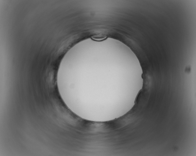 X0000113220428200910081346
