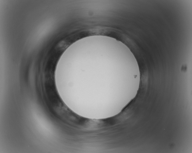 X0000113220429200910081346