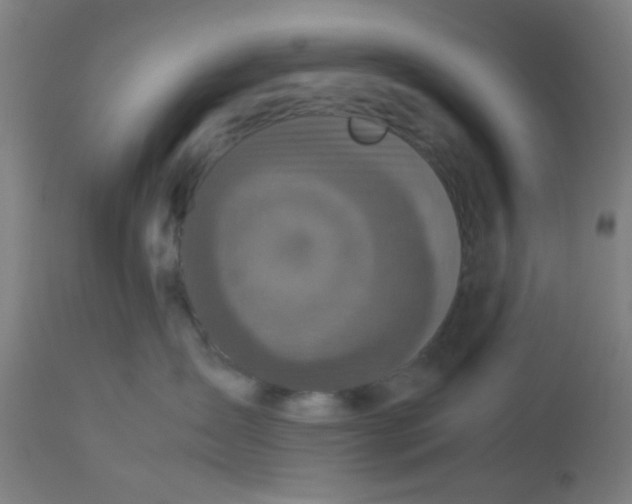 X0000113220431200910081346