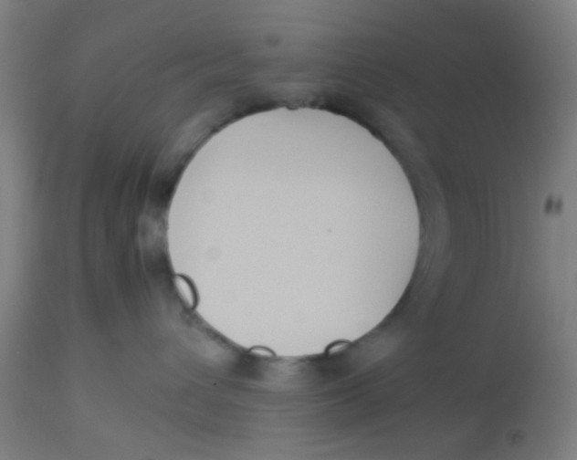 X0000113220432200910081346