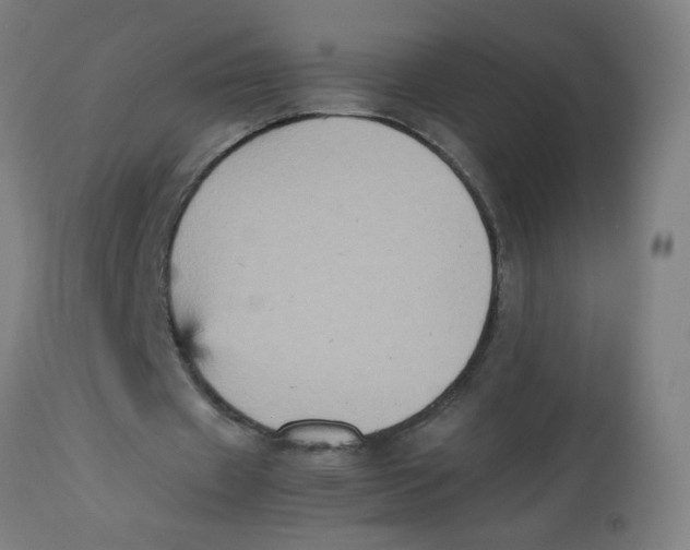 X0000113220433200910081345
