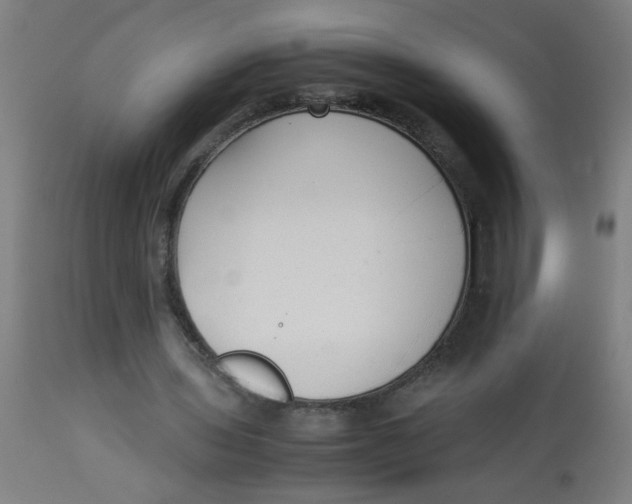 X0000113220435200910081345