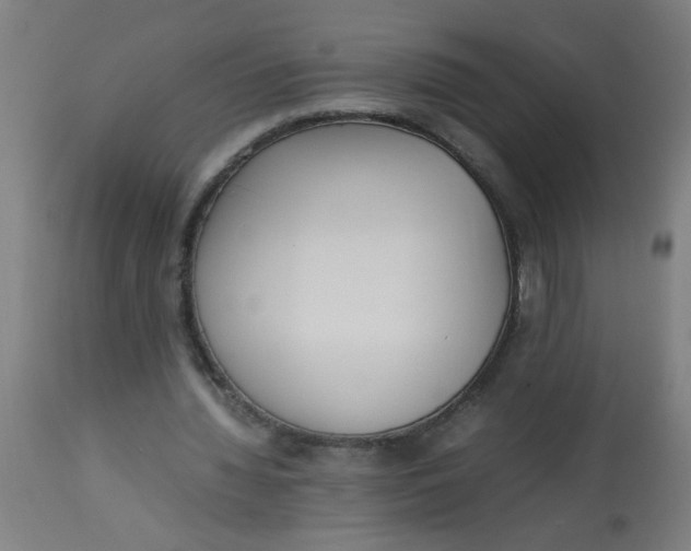 X0000113220436200910081345