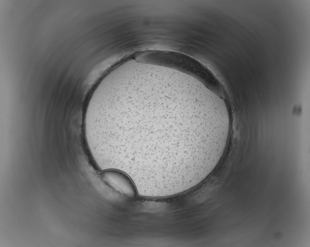 X0000113220437200910081345