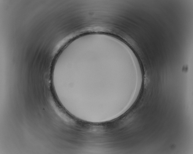 X0000113220438200910081345