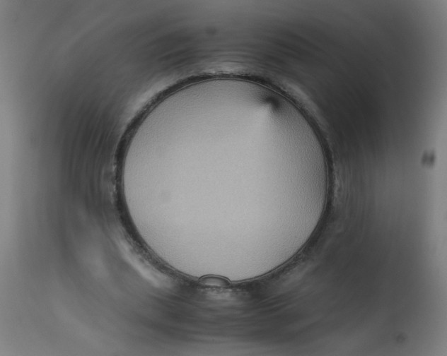 X0000113220439200910081345