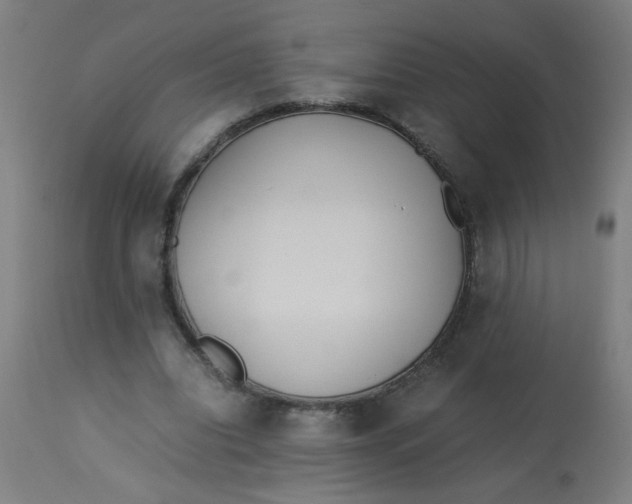 X0000113220440200910081345