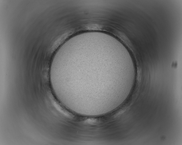 X0000113220441200910081345