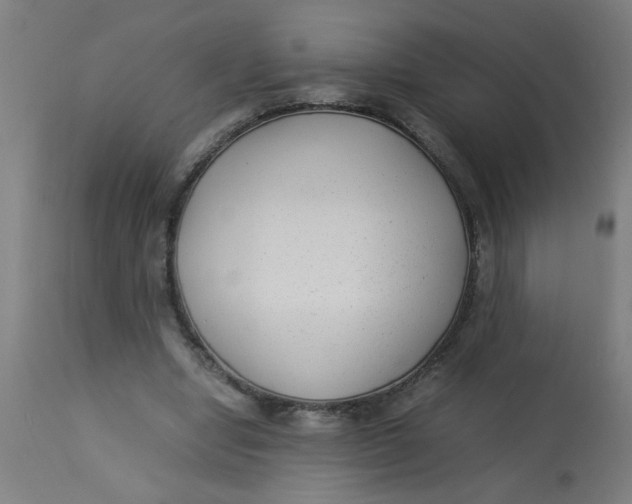 X0000113220442200910081345