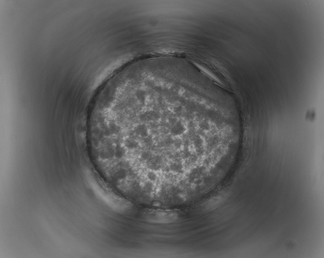 X0000113220443200910081345