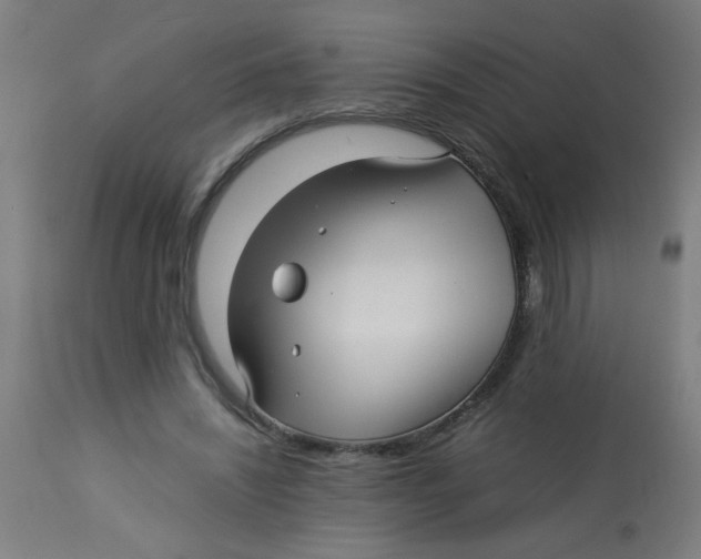X0000113220444200910081345