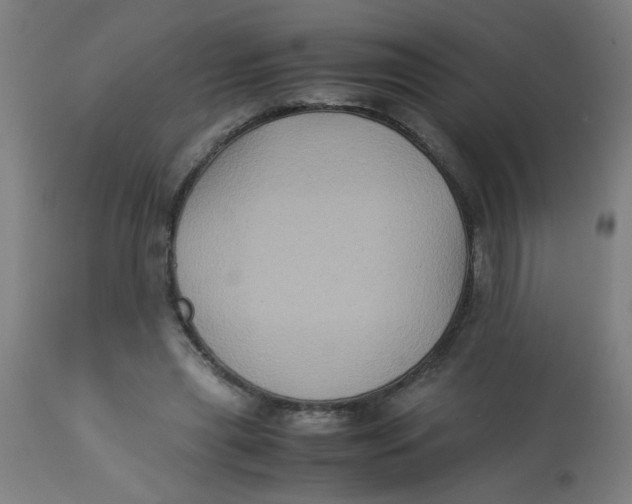 X0000113220445200910081345