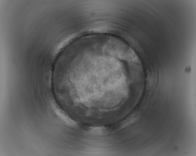 X0000113220446200910081345