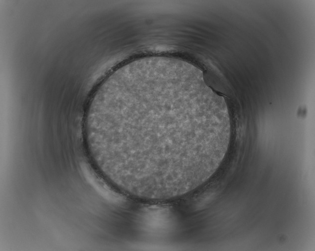 X0000113220447200910081345