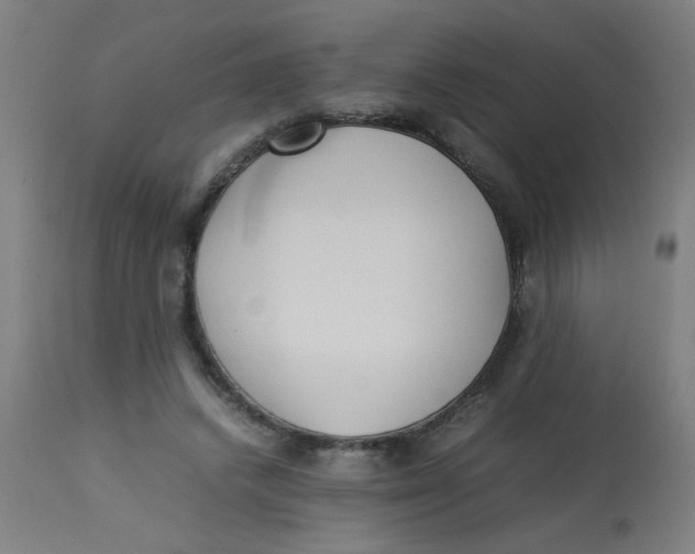 X0000113220448200910081345