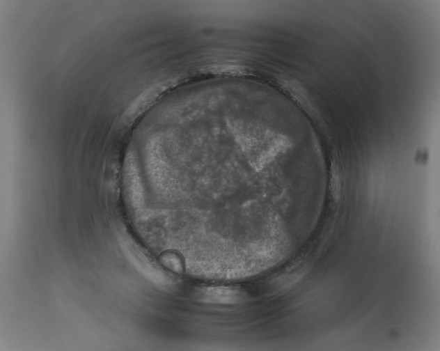X0000113220449200910081345