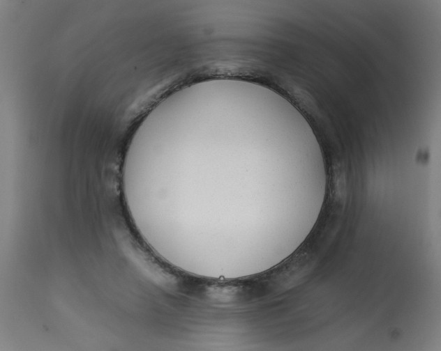 X0000113220450200910081345