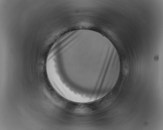 X0000113220451200910081345