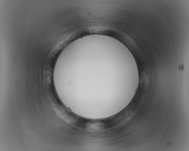 X0000113220452200910081345