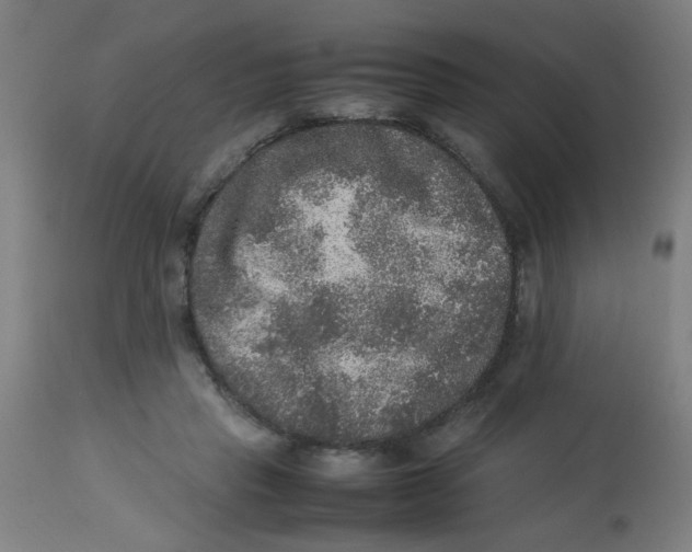 X0000113220453200910081345
