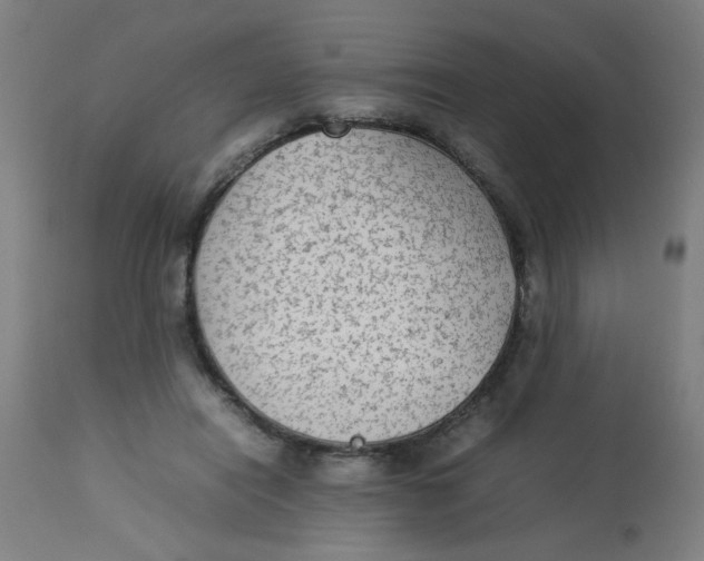 X0000113220454200910081345