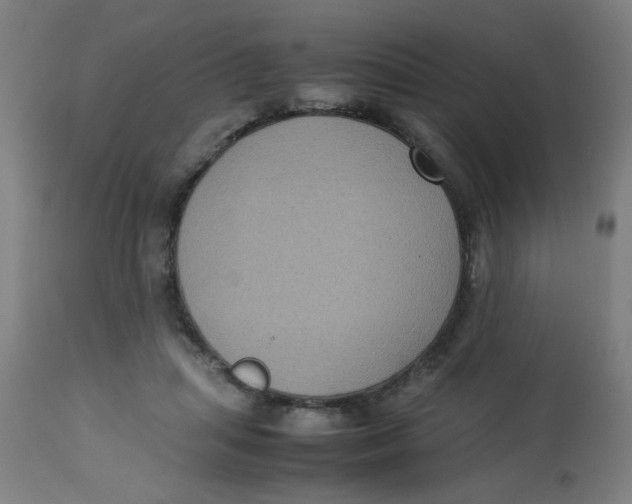 X0000113220455200910081345