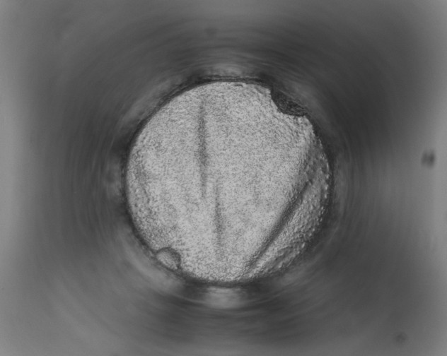 X0000113220457200910081345