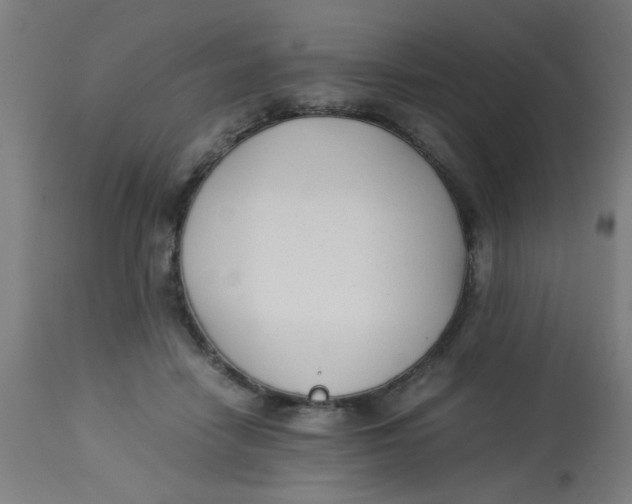 X0000113220458200910081345