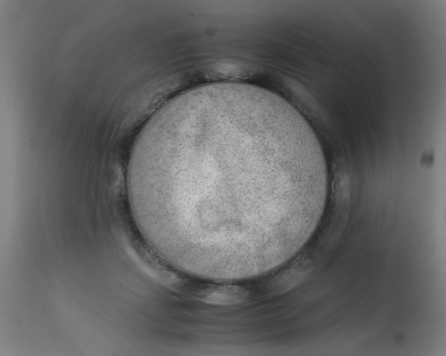 X0000113220459200910081345