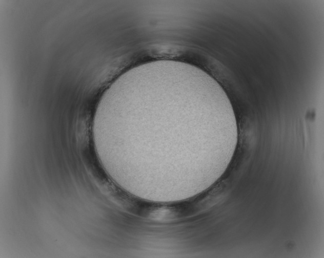 X0000113220460200910081345