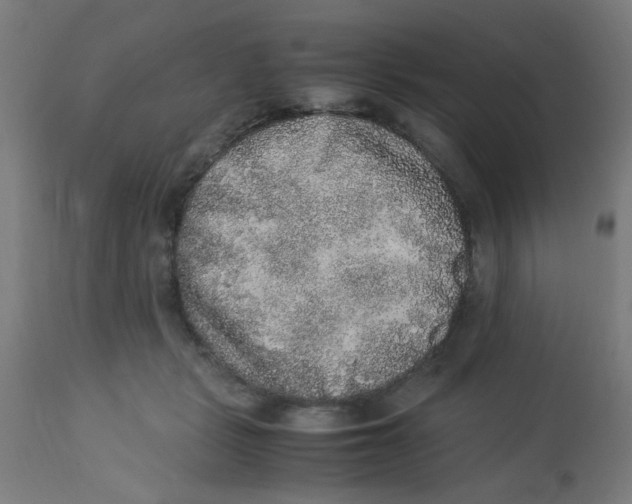 X0000113220461200910081345