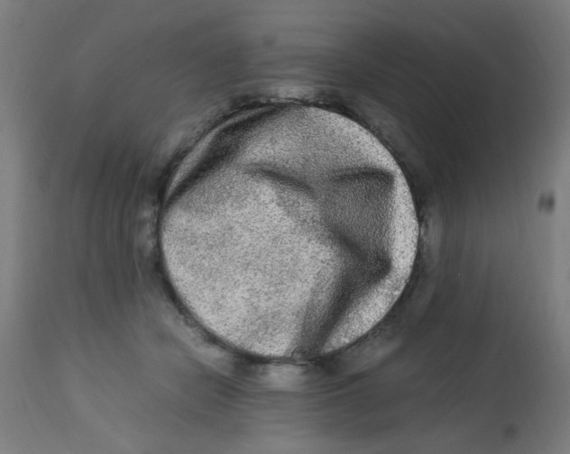 X0000113220462200910081345