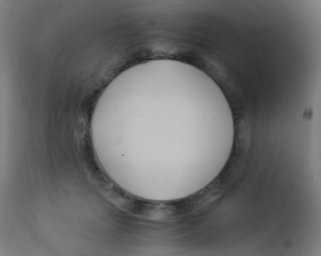 X0000113220463200910081345