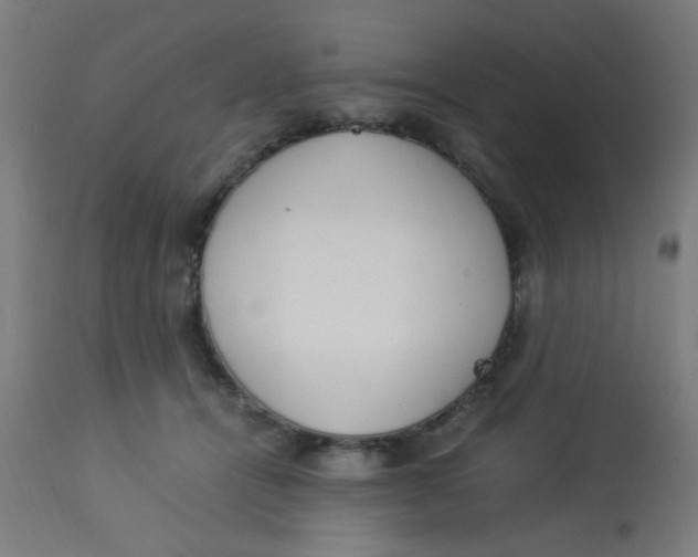 X0000113220464200910081345