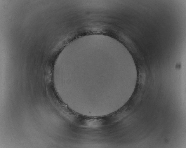 X0000113220465200910081345