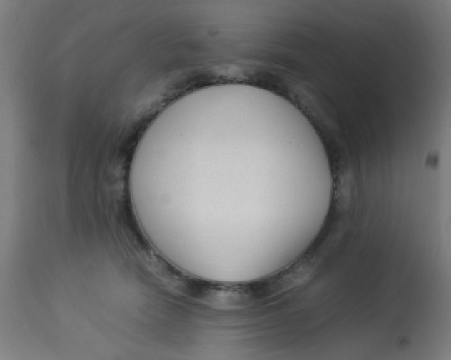 X0000113220466200910081345