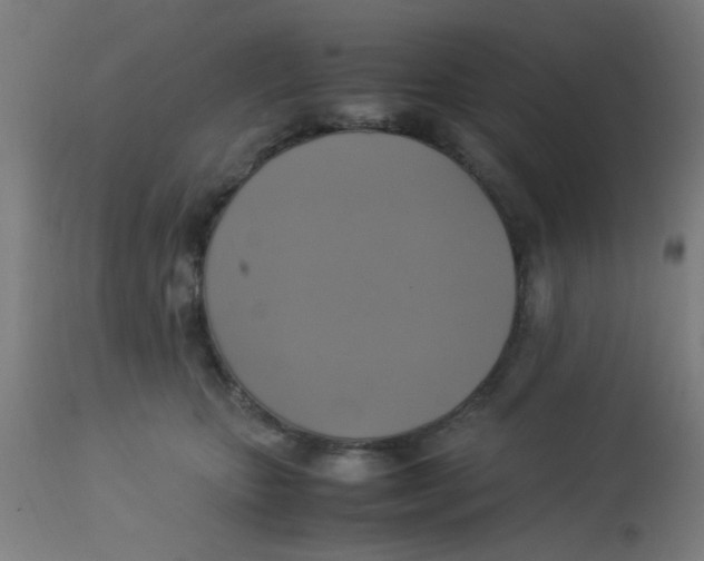 X0000113220467200910081345