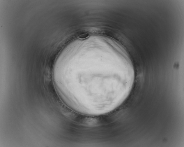 X0000113220469200910081345
