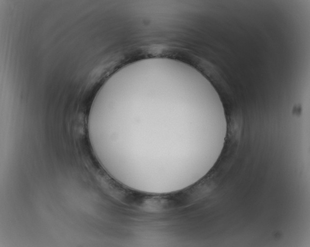 X0000113220470200910081345