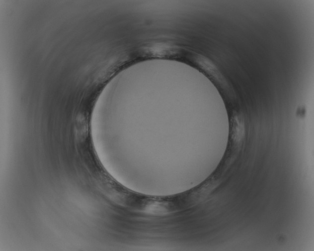 X0000113220471200910081345