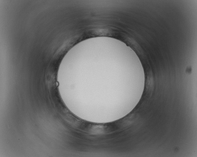 X0000113220473200910081345